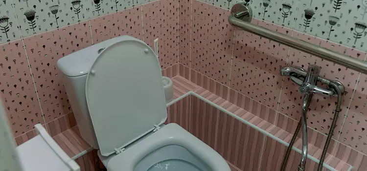 Meeting Diverse Needs With Accessible Restroom Solutions in North Richland Hills, TX