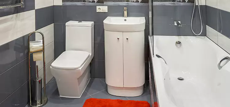 Hansgrohe Shaving Mirror North Richland Hills